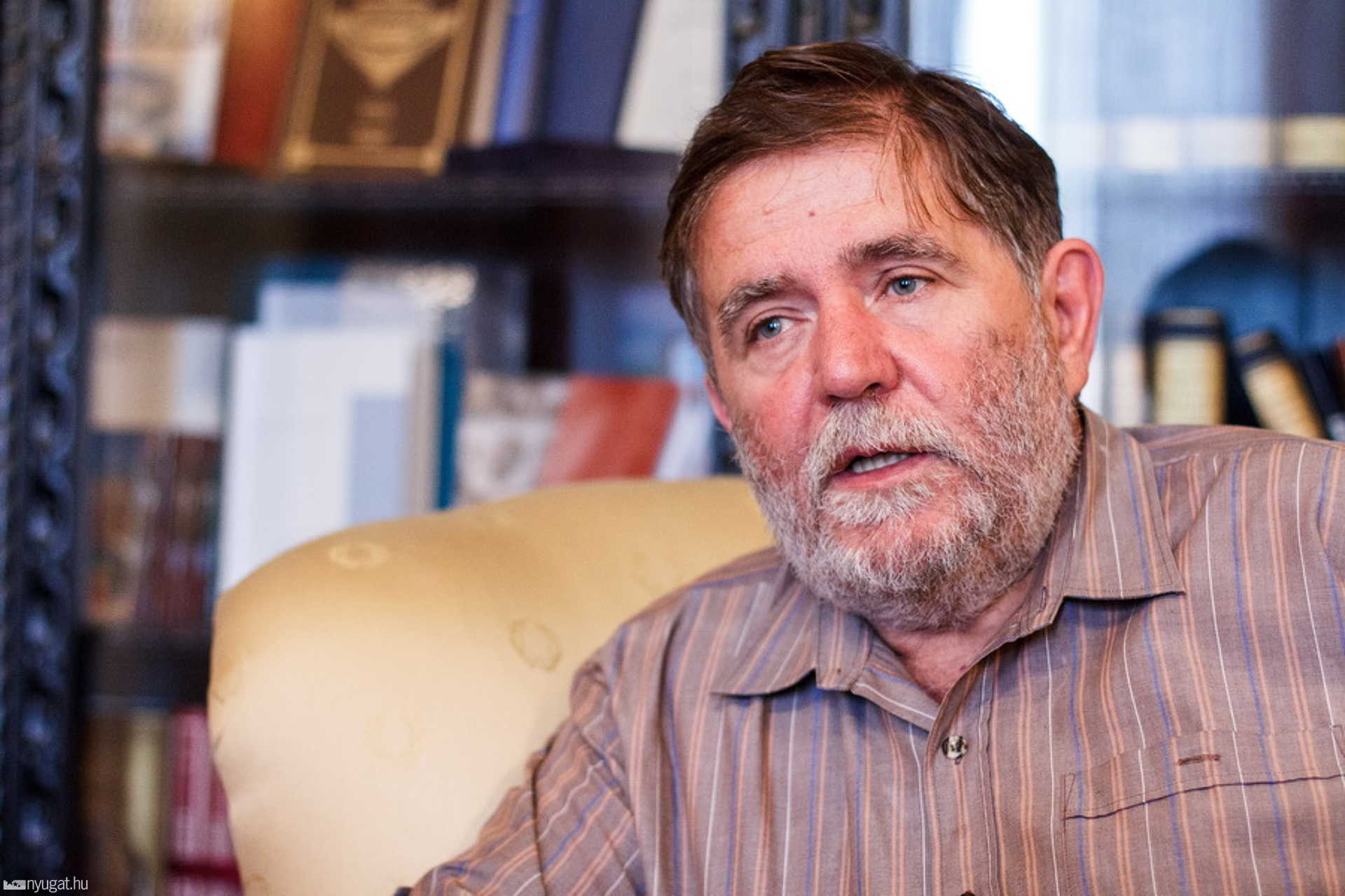 Kovács Ferenc