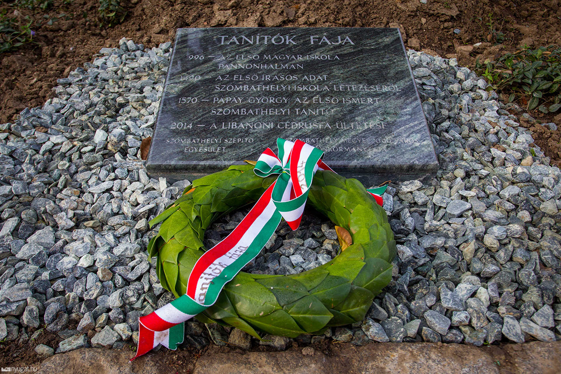 Tanítók fája