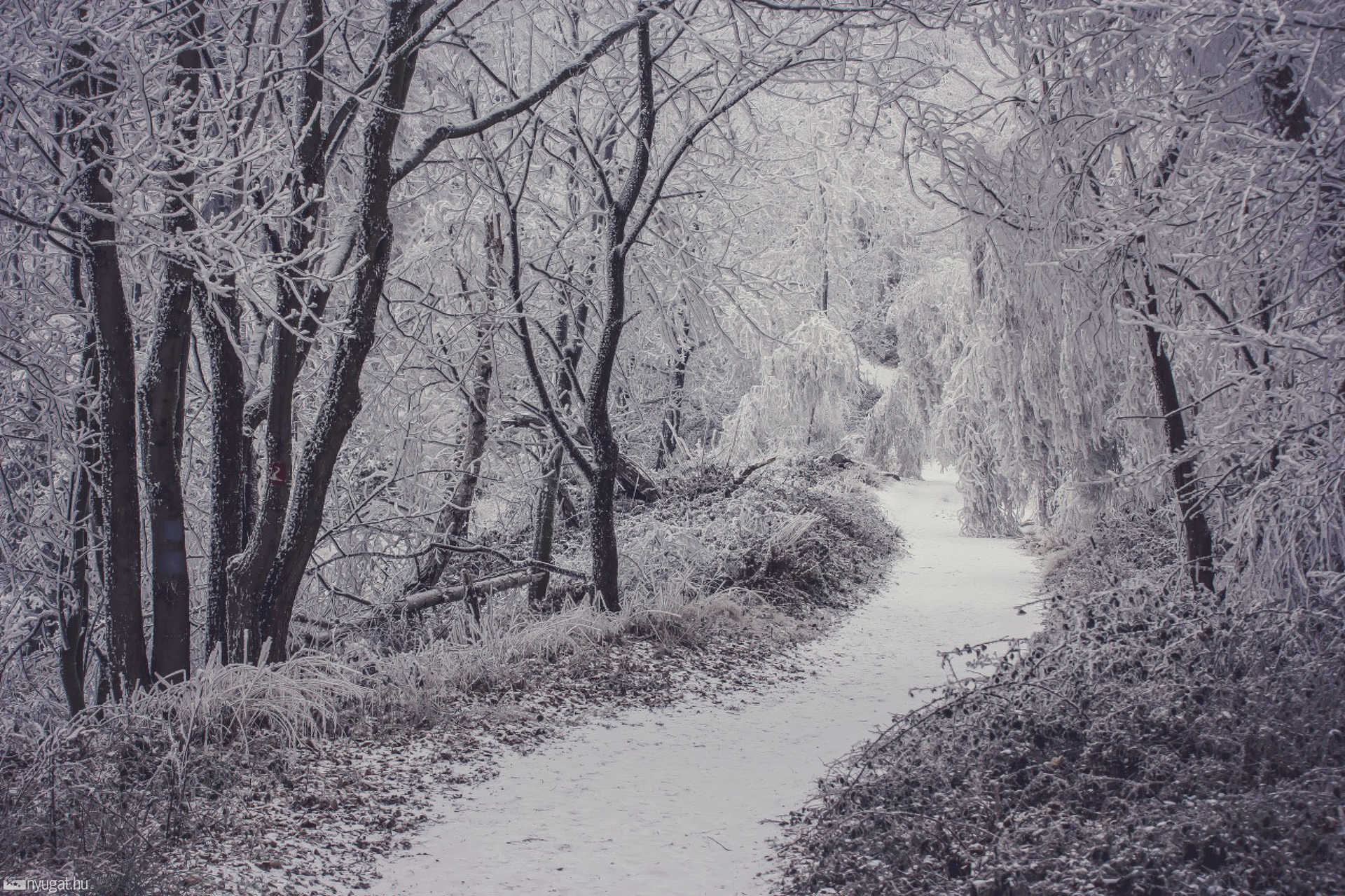 Írottkő télen