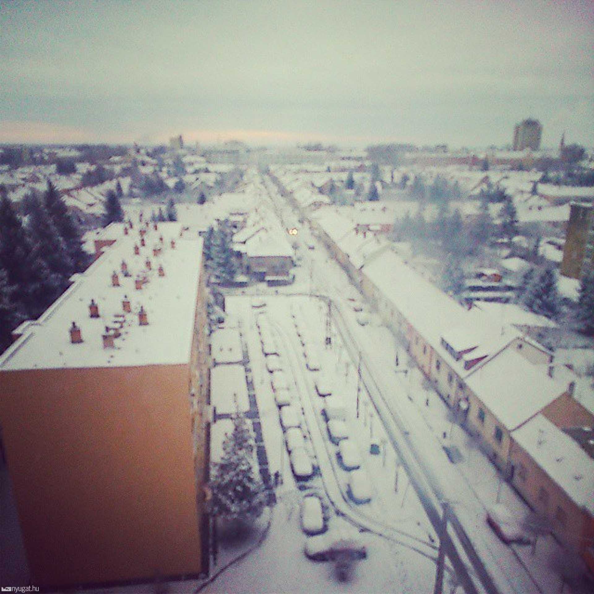horvathjulijucikaa