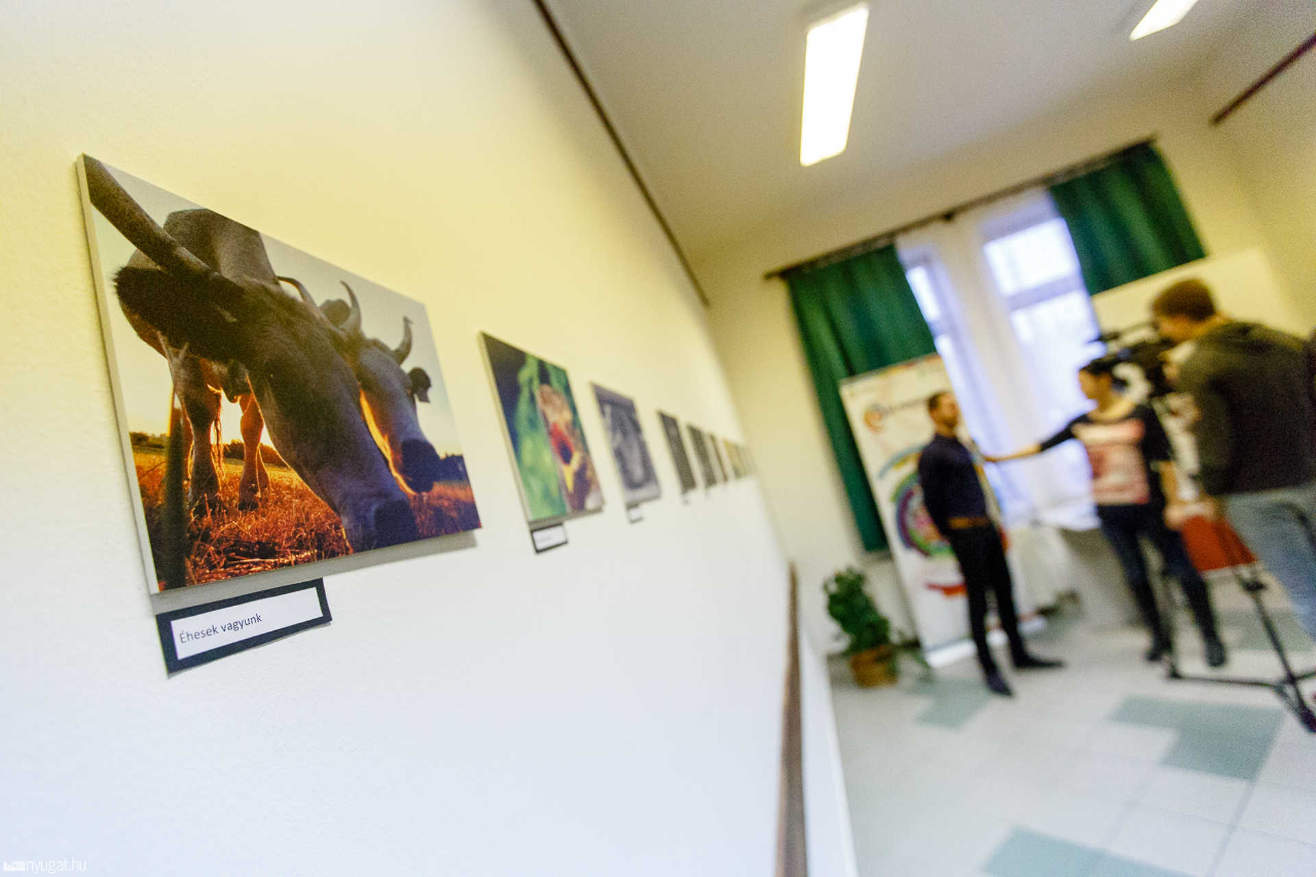 Bogdán Ferenc kiállítása az Új Nemzedék Kontaktpontban