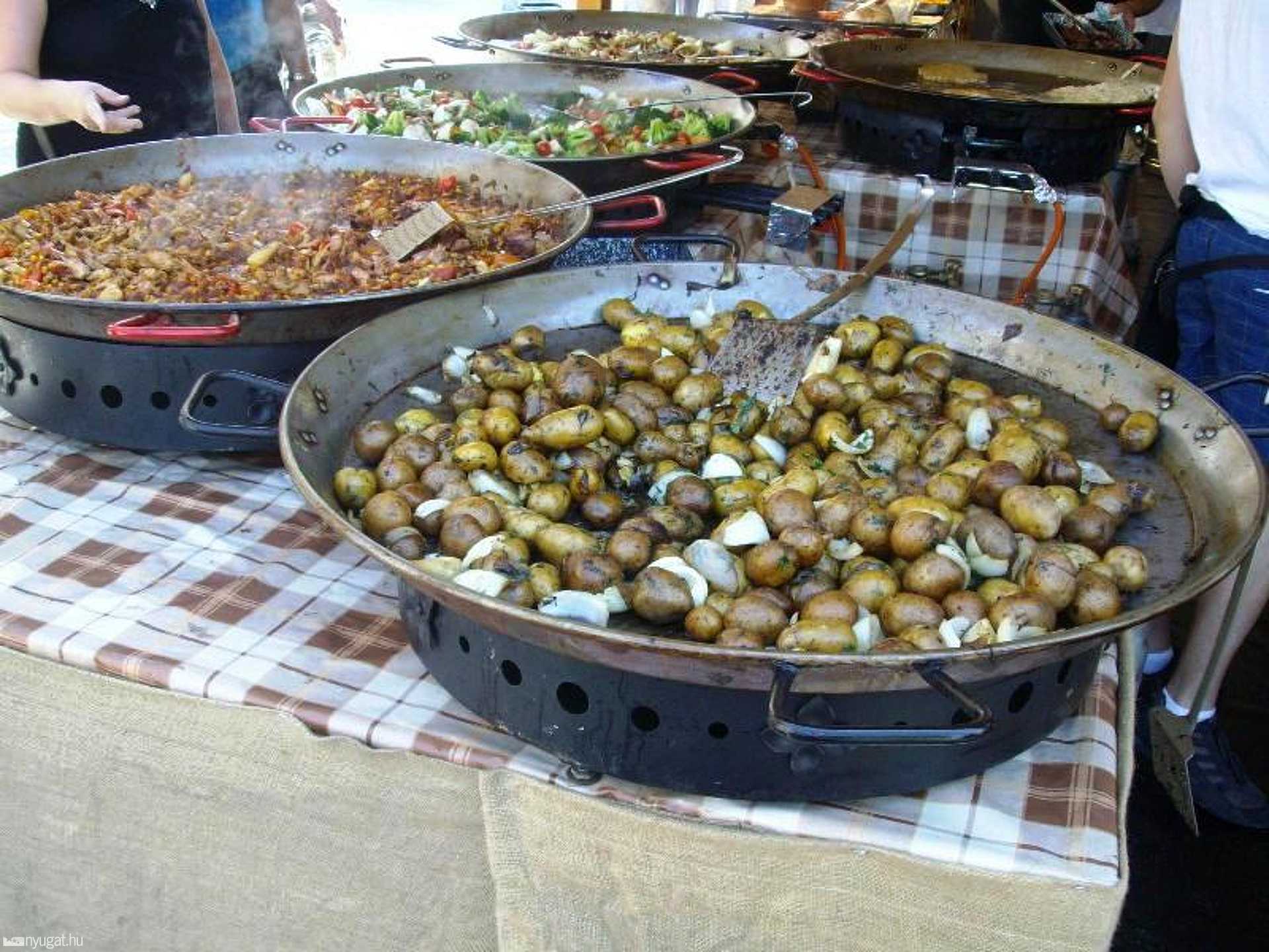 Karneváli fotópályázat 2010.