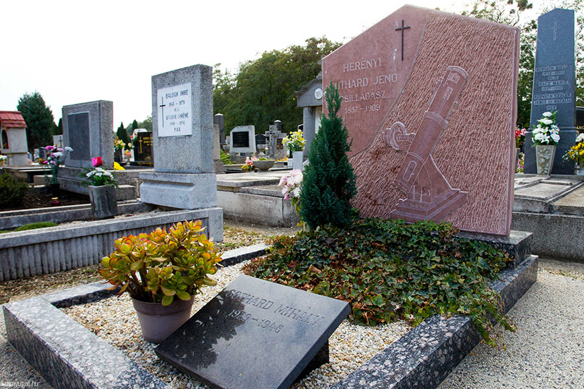 Gothard Jenő - Herényi temető