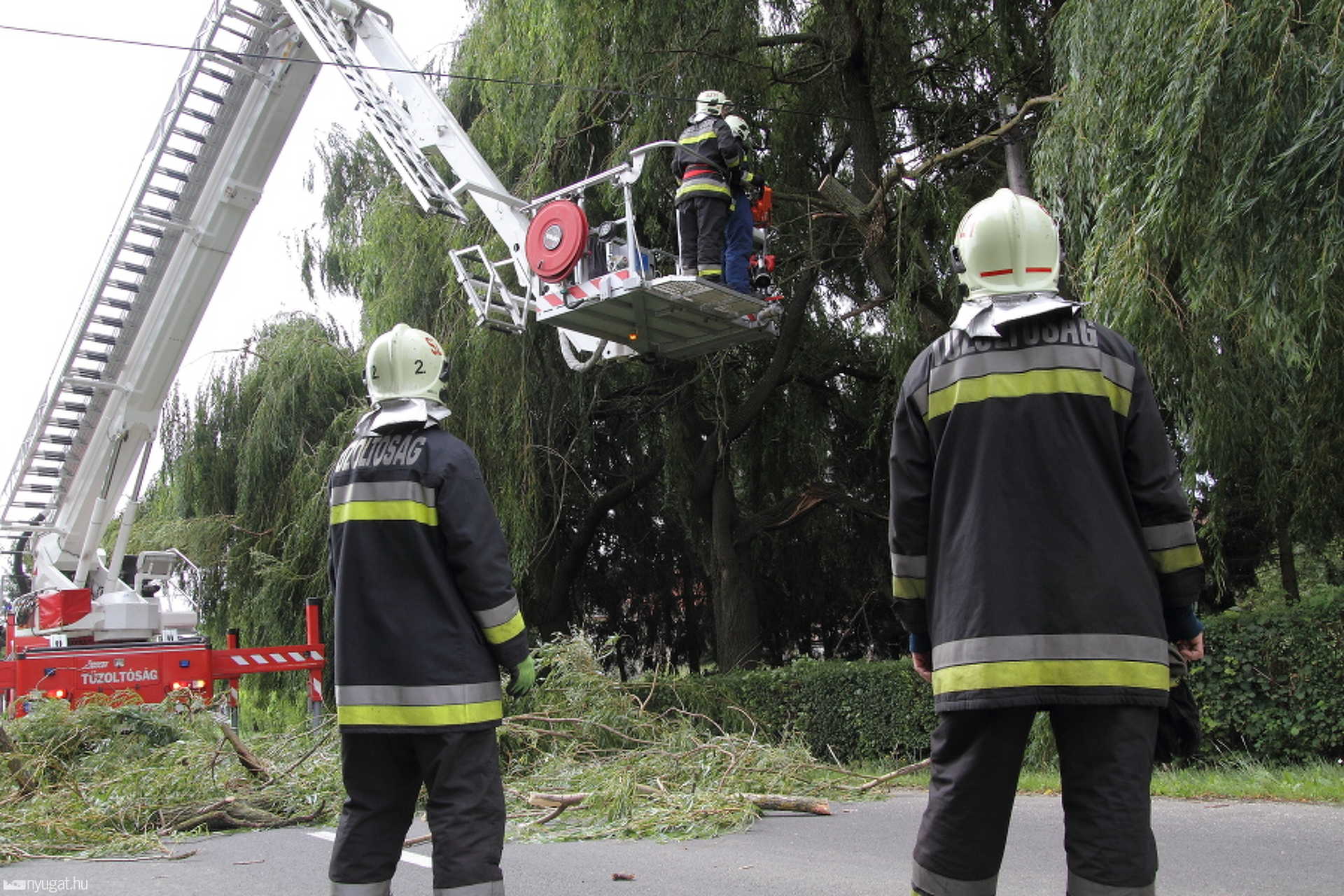 Fűzfa dőlt a villanyvezetékre Jákon