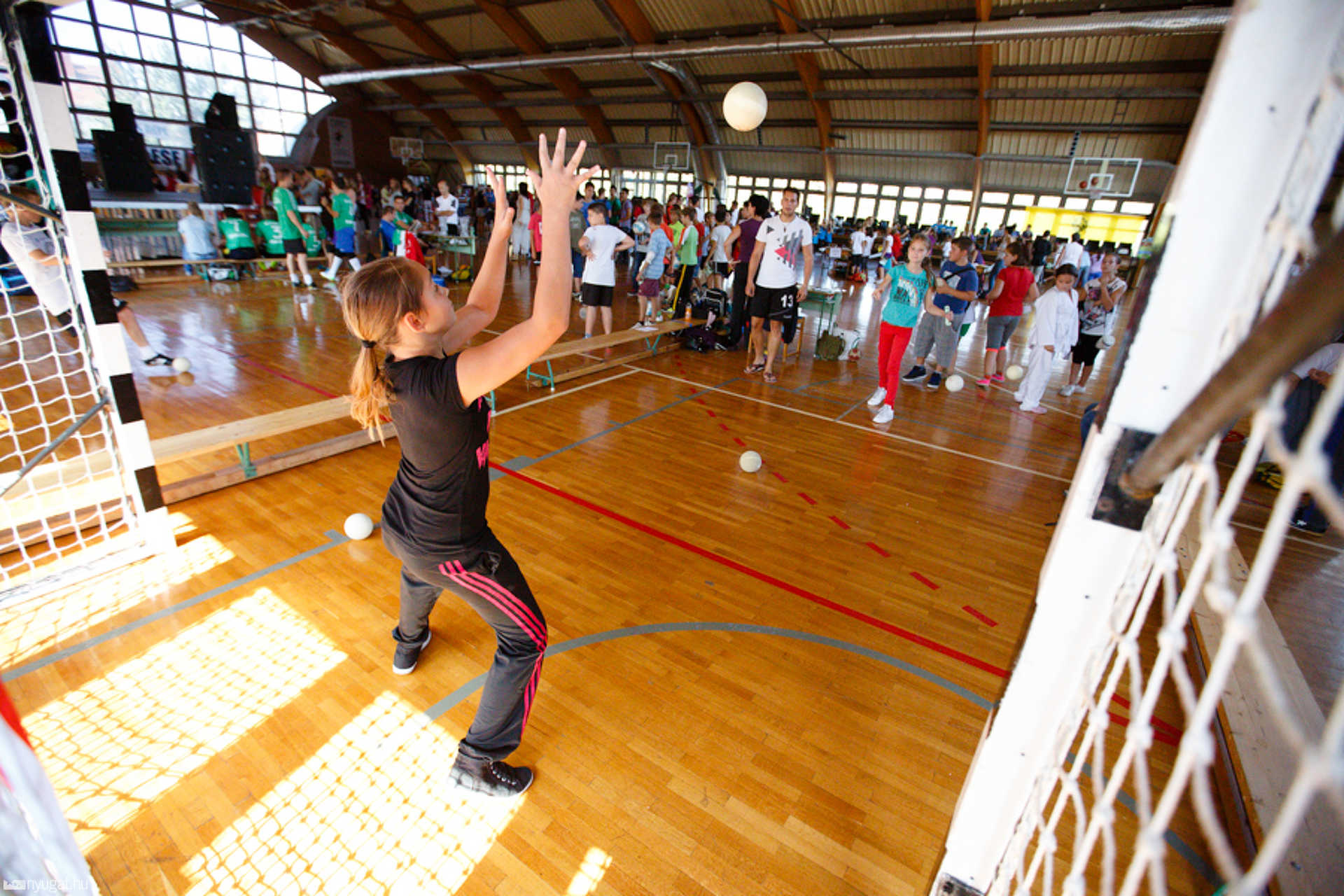 IV. Szombathelyi Nagy Sportágválasztó