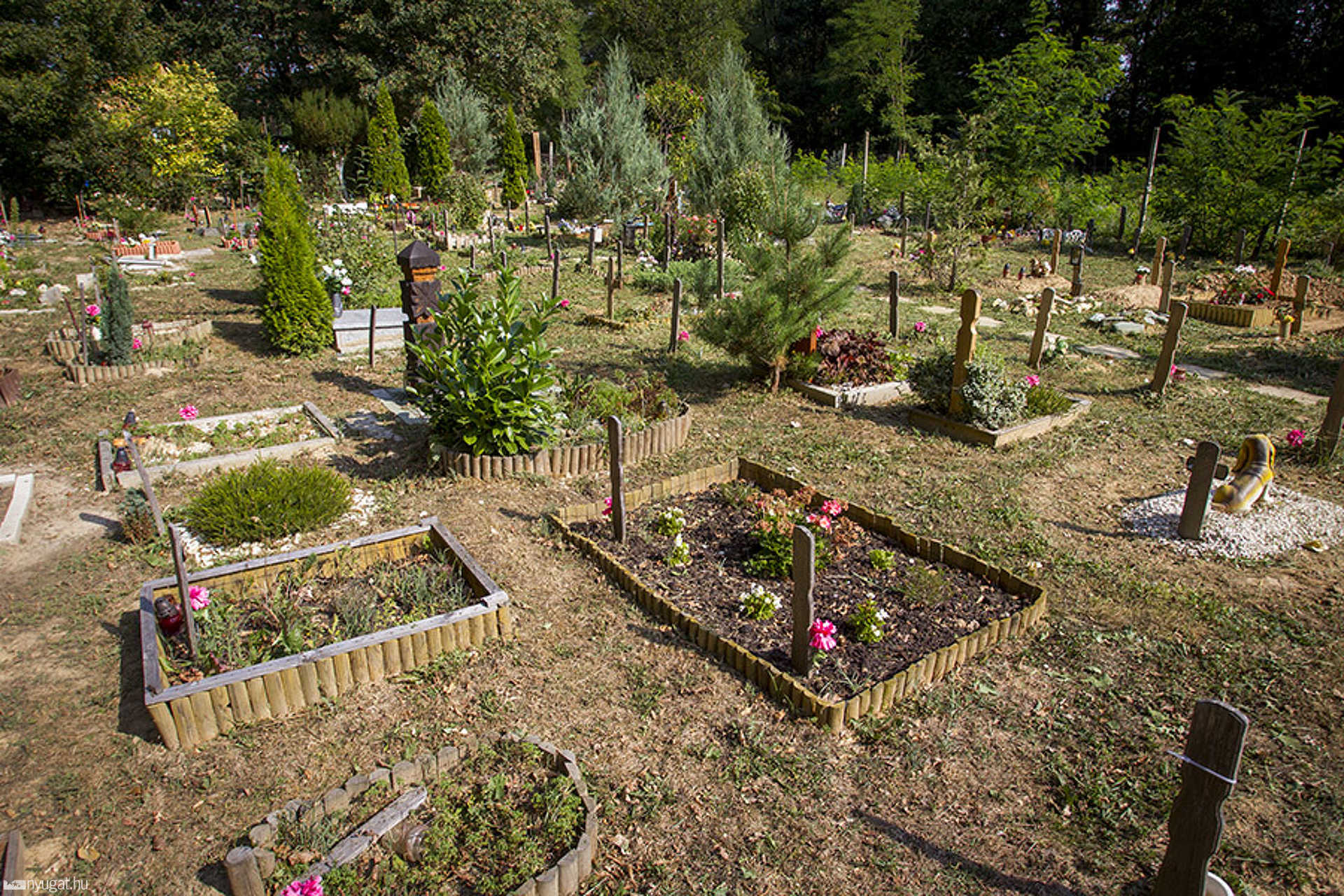 Állatkegyeleti Park
