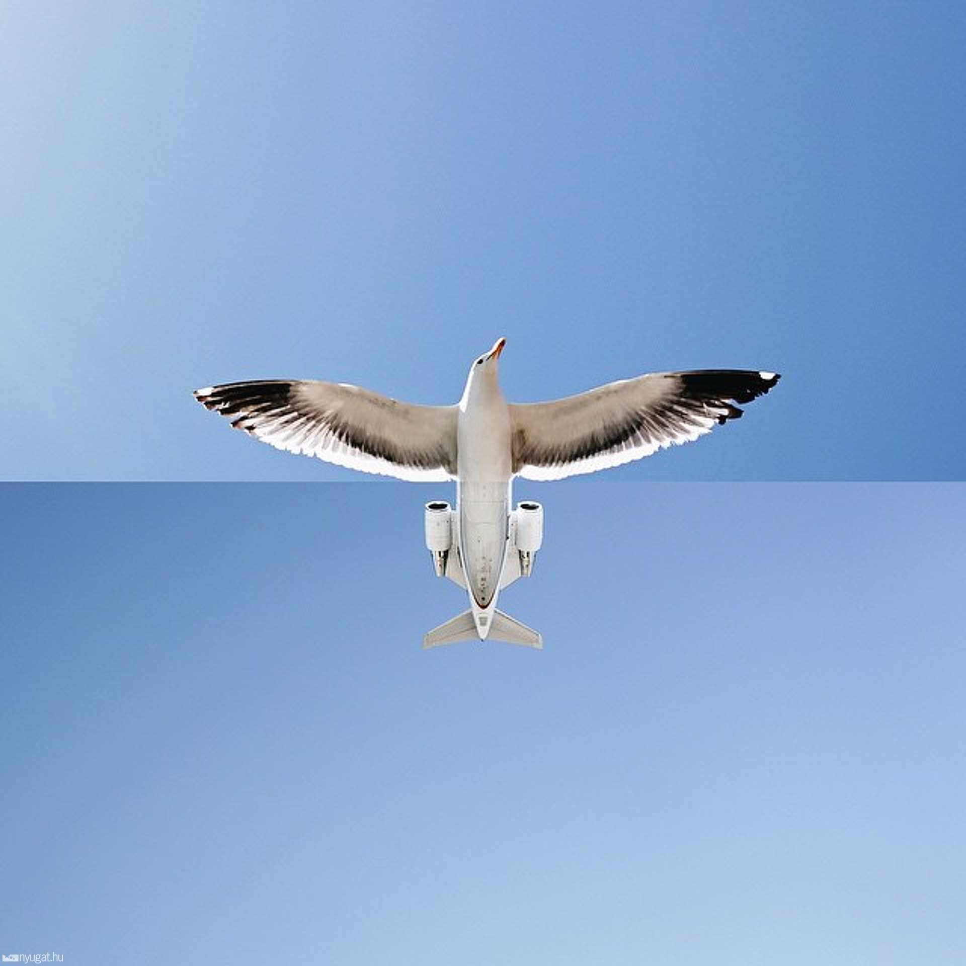 Combophoto