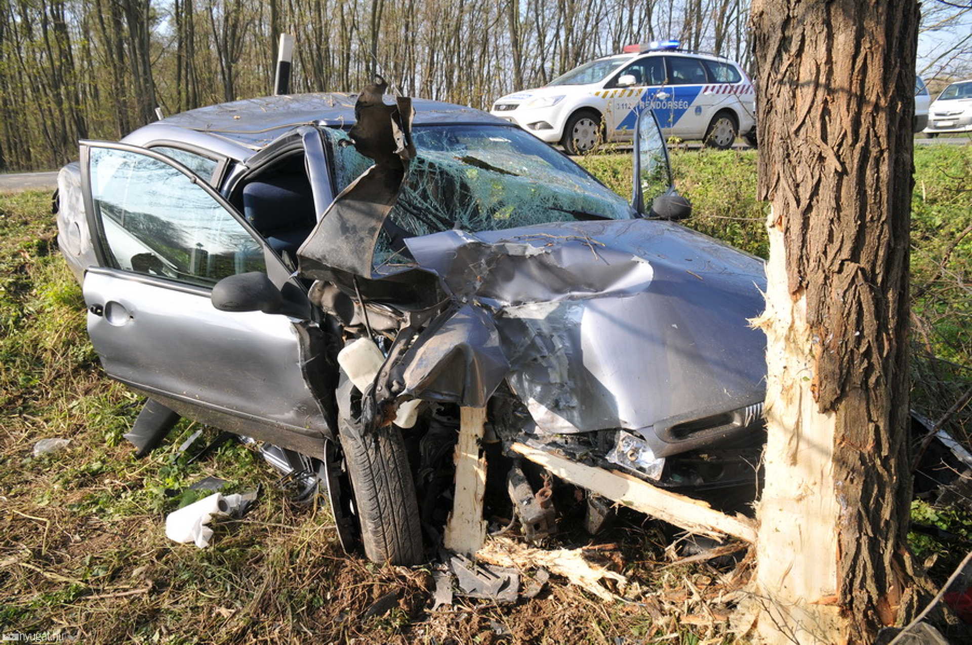 Fának csapódott a Fiat, meghalt a férfi utas Gércénél, a 84-es úton