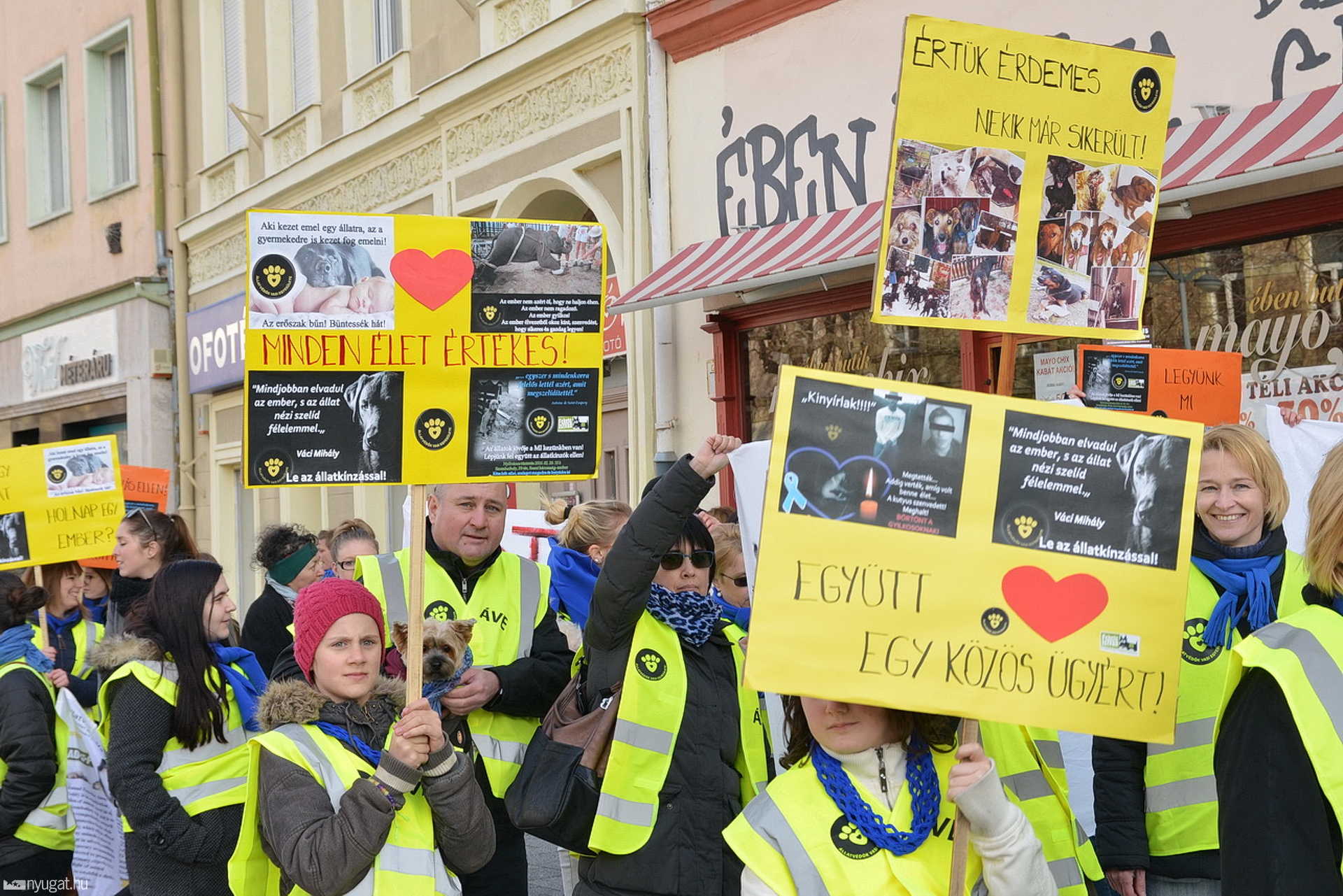 Demonstráció az állatkínzás ellen, Szombathelyen 