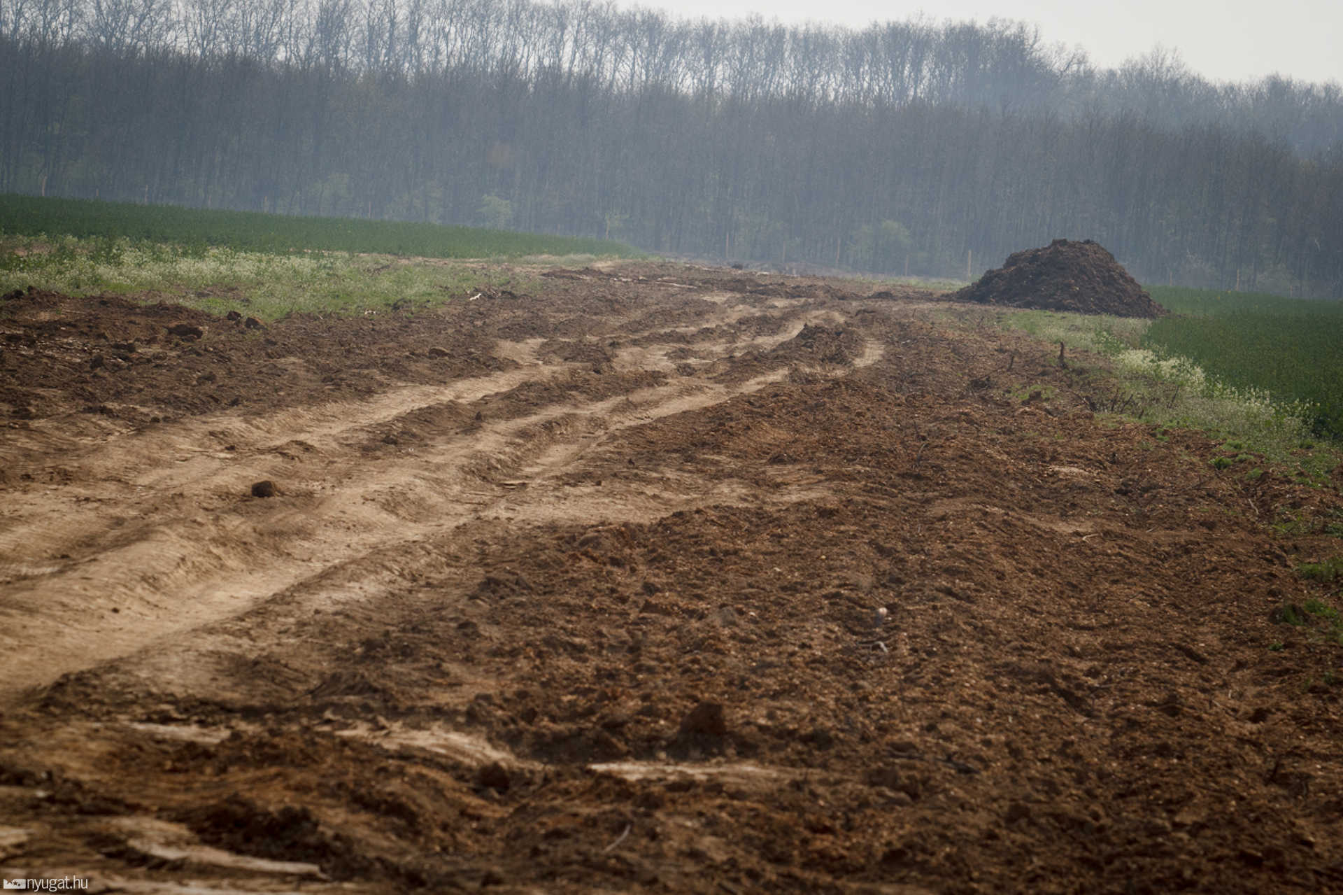 Elhanyagolt mezőgazdasági utak útépítés után
