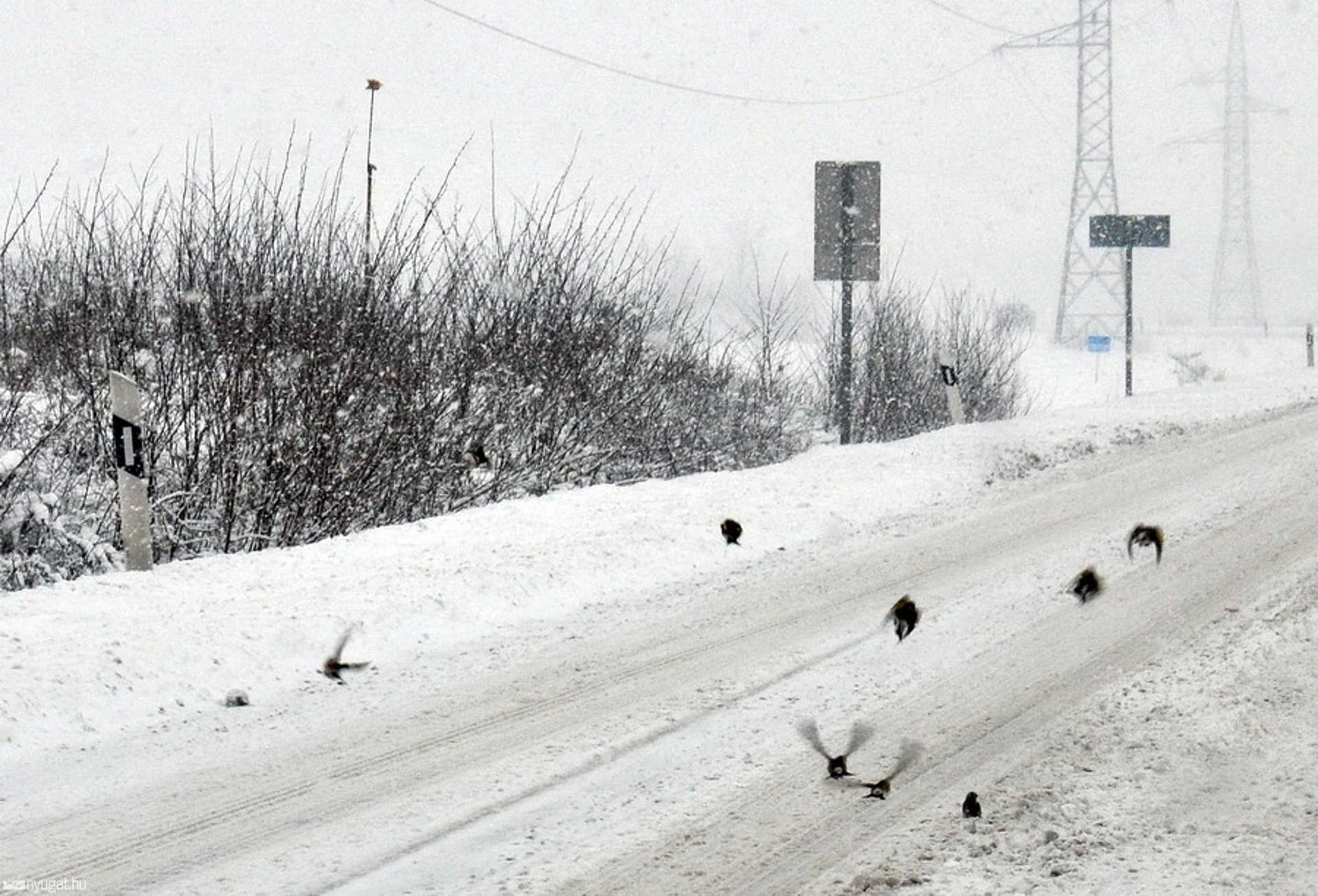 Téli képek Szombathelyről - 2010.12.03. 