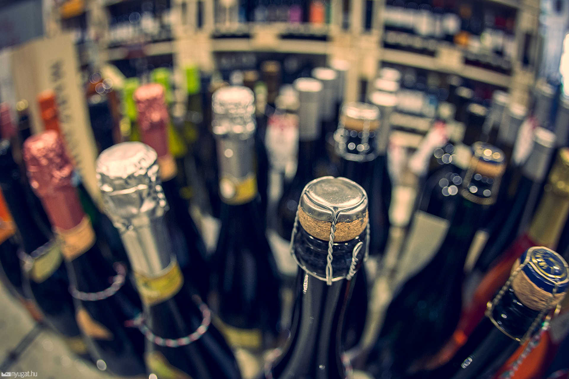 Cuvée Borszaküzlet és Borbár - Vinotéka