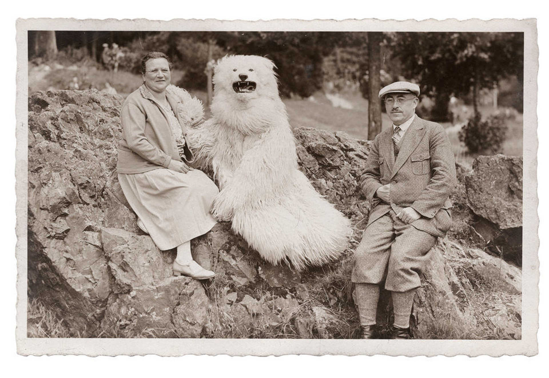 A TeddyBar kollekció