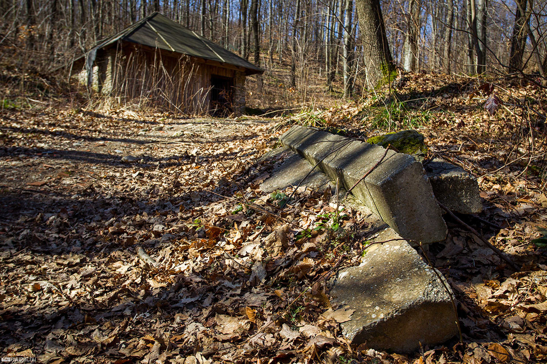 Szálasi-bunker Kőszeg mellett