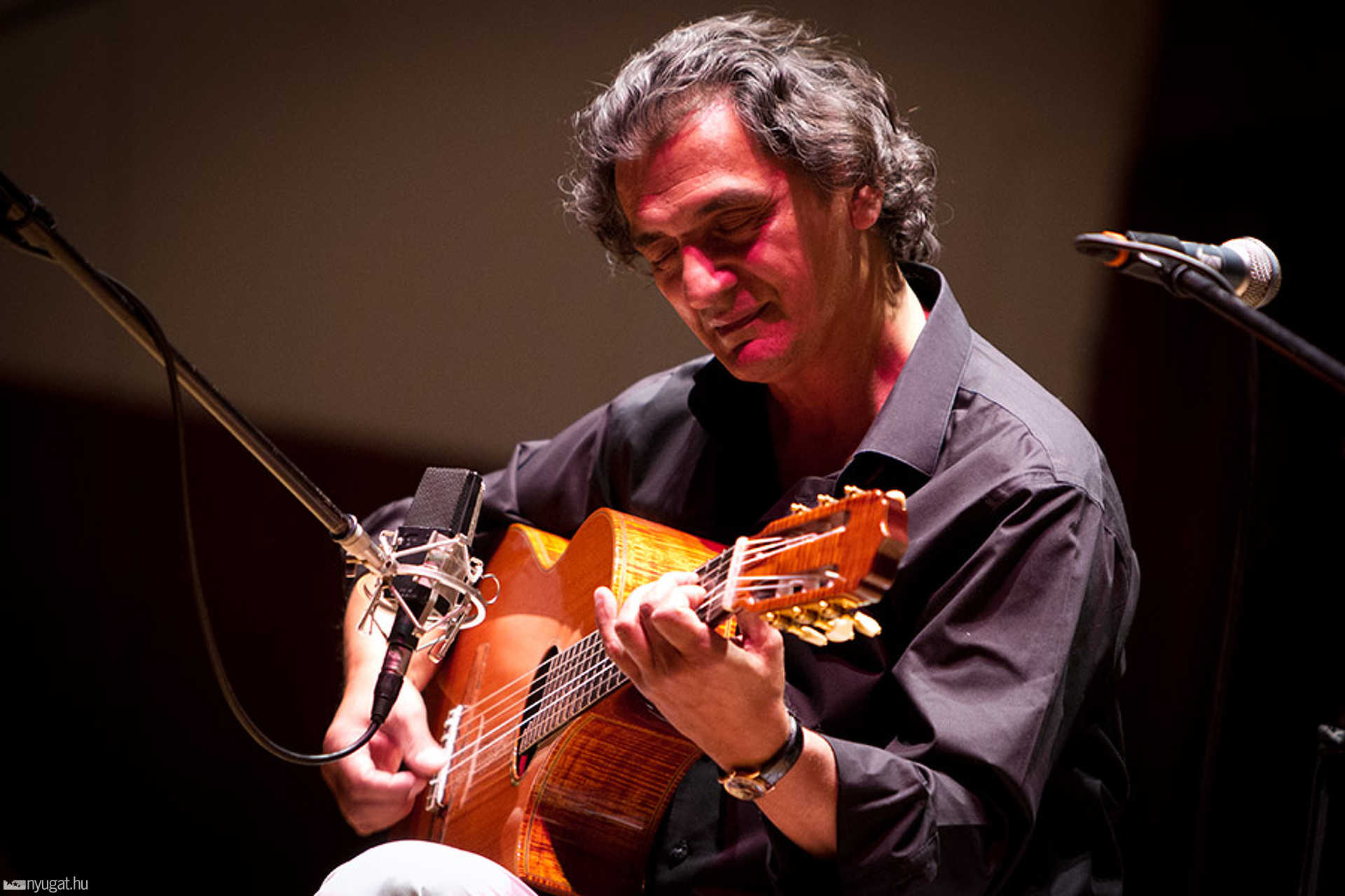 Snétberger Ferenc