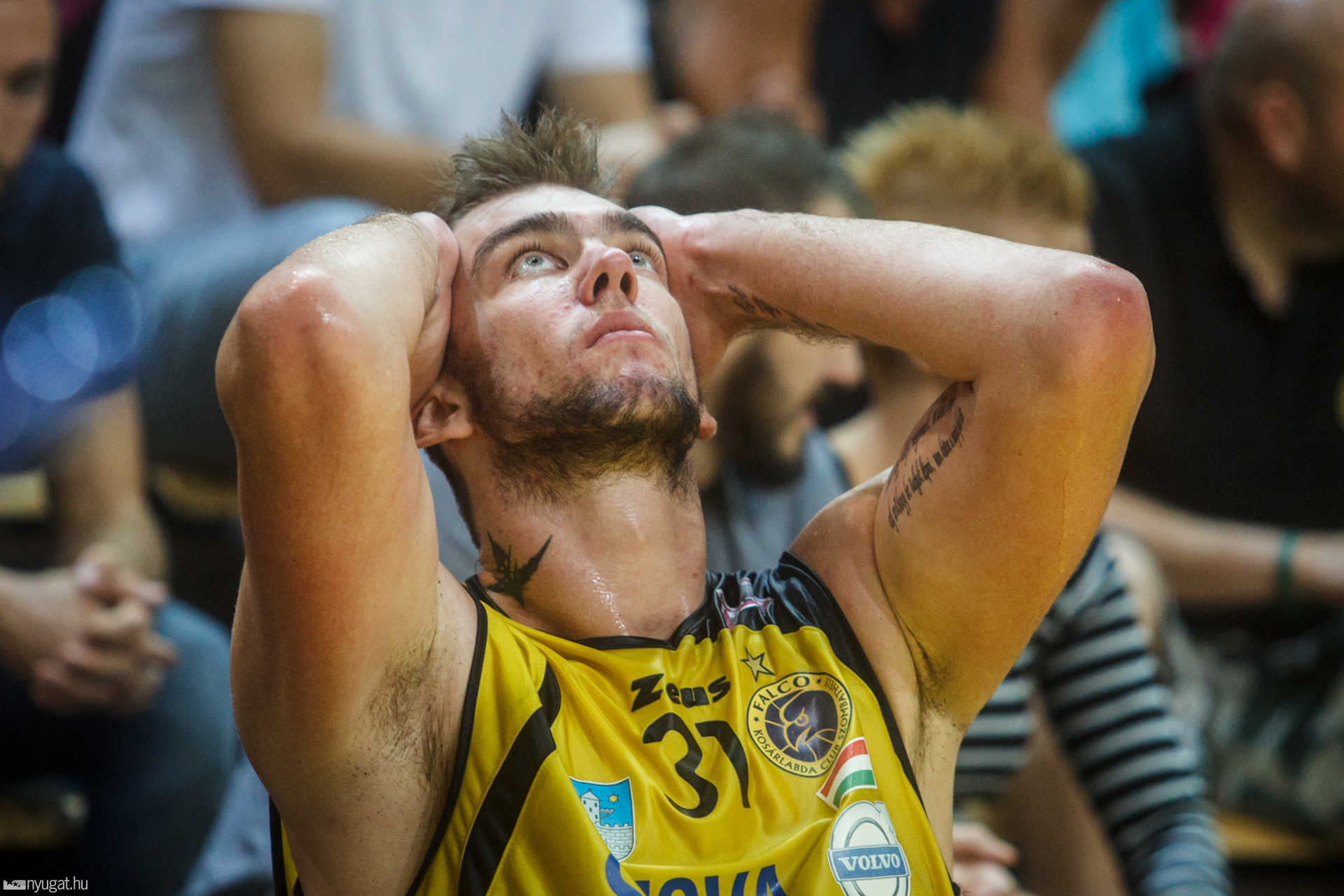 VI. Horváth Zoltán Emléktorna - Falco KC Szombathely-Alba Fehérvár