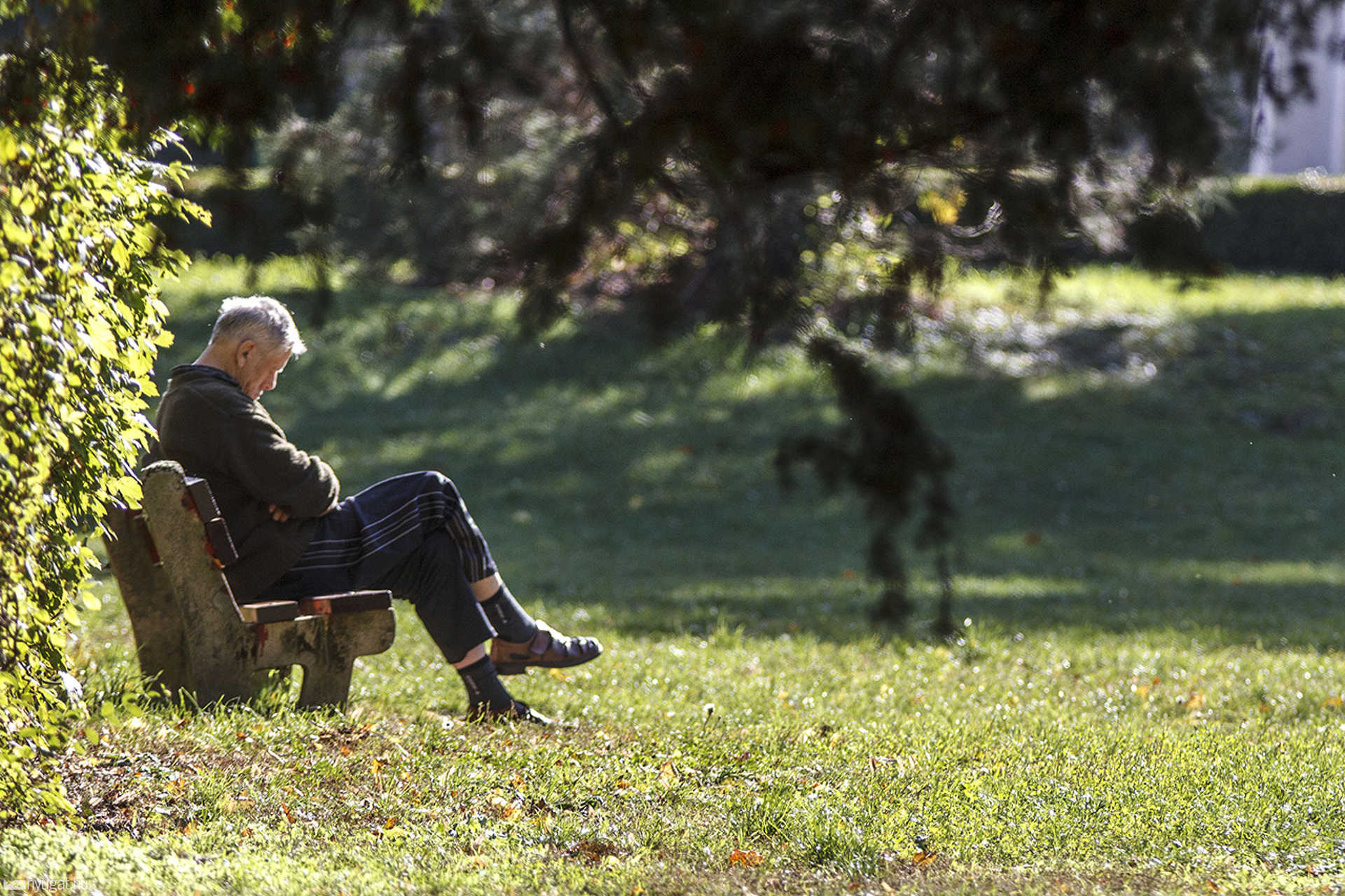 Ősz a Szent István parkban