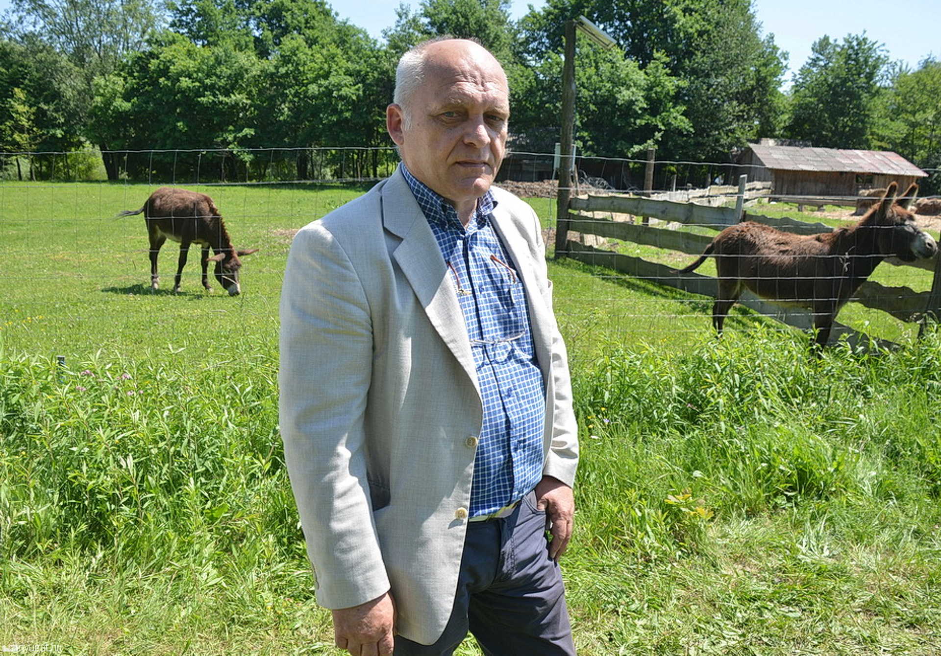 Dr. Lantos Zoltán járási főállatorvos a helyszínen