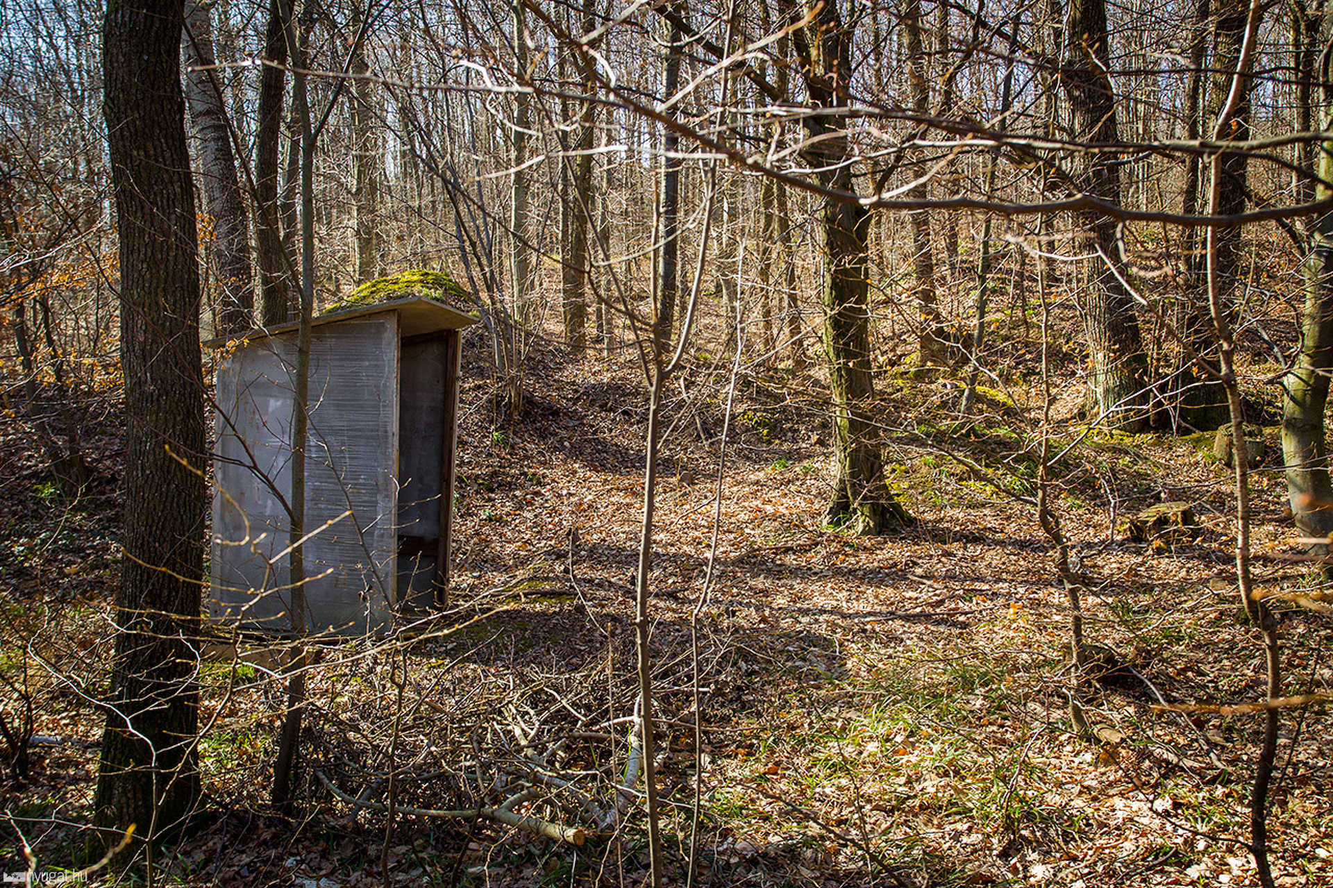 Szálasi-bunker Kőszeg mellett