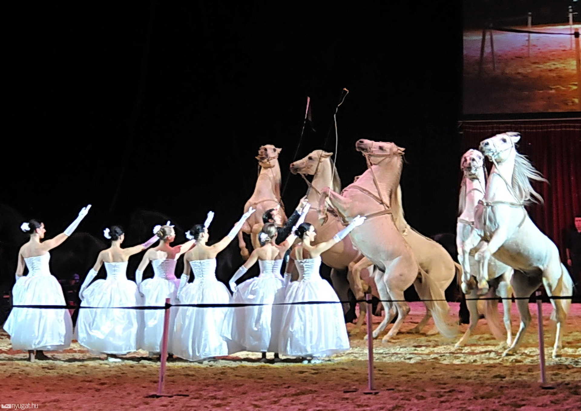 Horse Evolution Show Szombathelyen, az Arena Savariában
