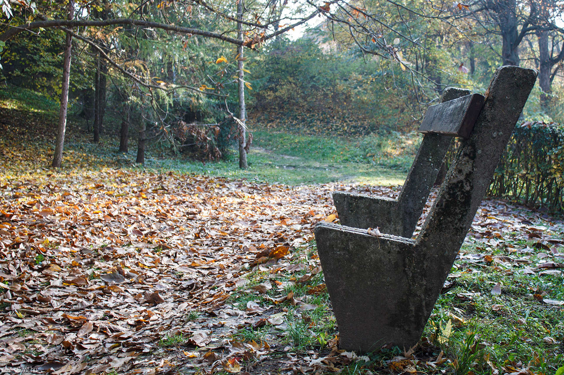Ősz a jáki templomnál