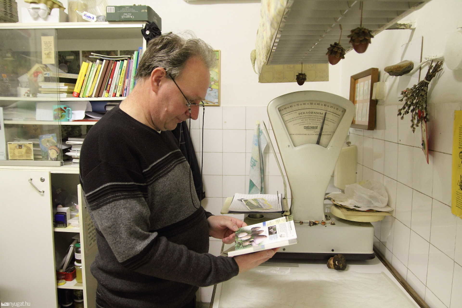 Kalauz József, a Vásárcsarnok gombavizsgálója