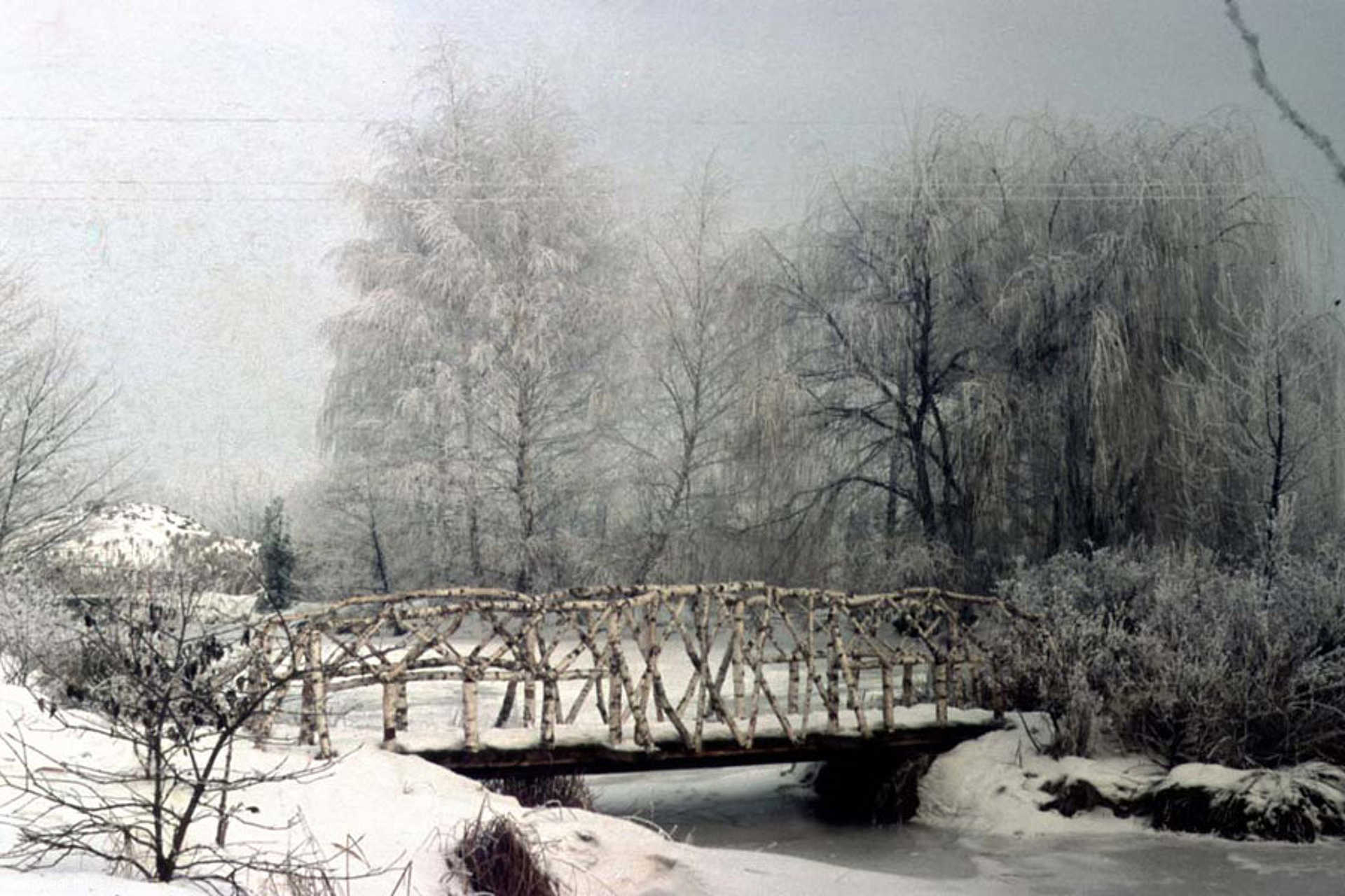 Kámoni Arborétum 1964. telén