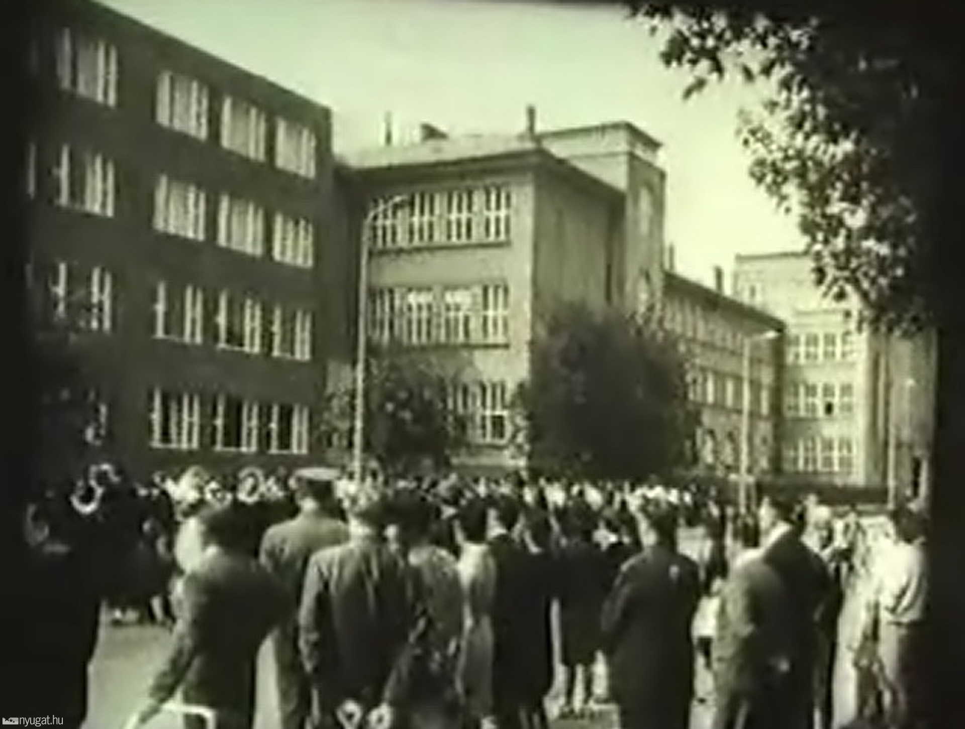Vasi Mozaik - 1966.