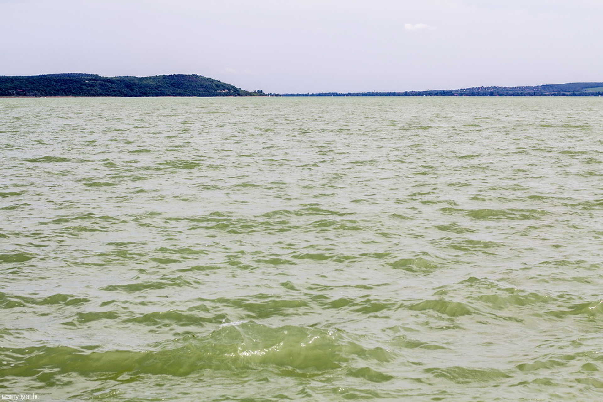 Hullámzó Balaton