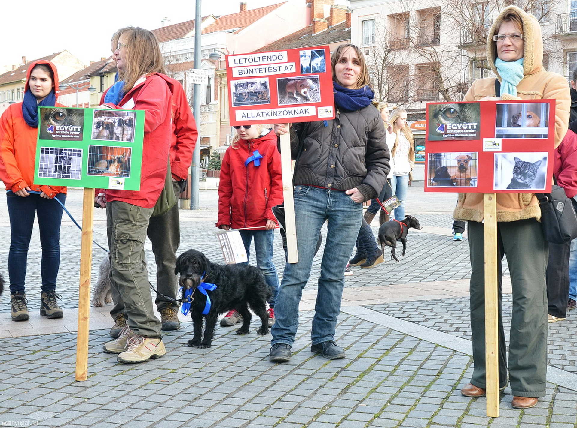 Demonstráció az állatkínzás ellen, Szombathelyen 