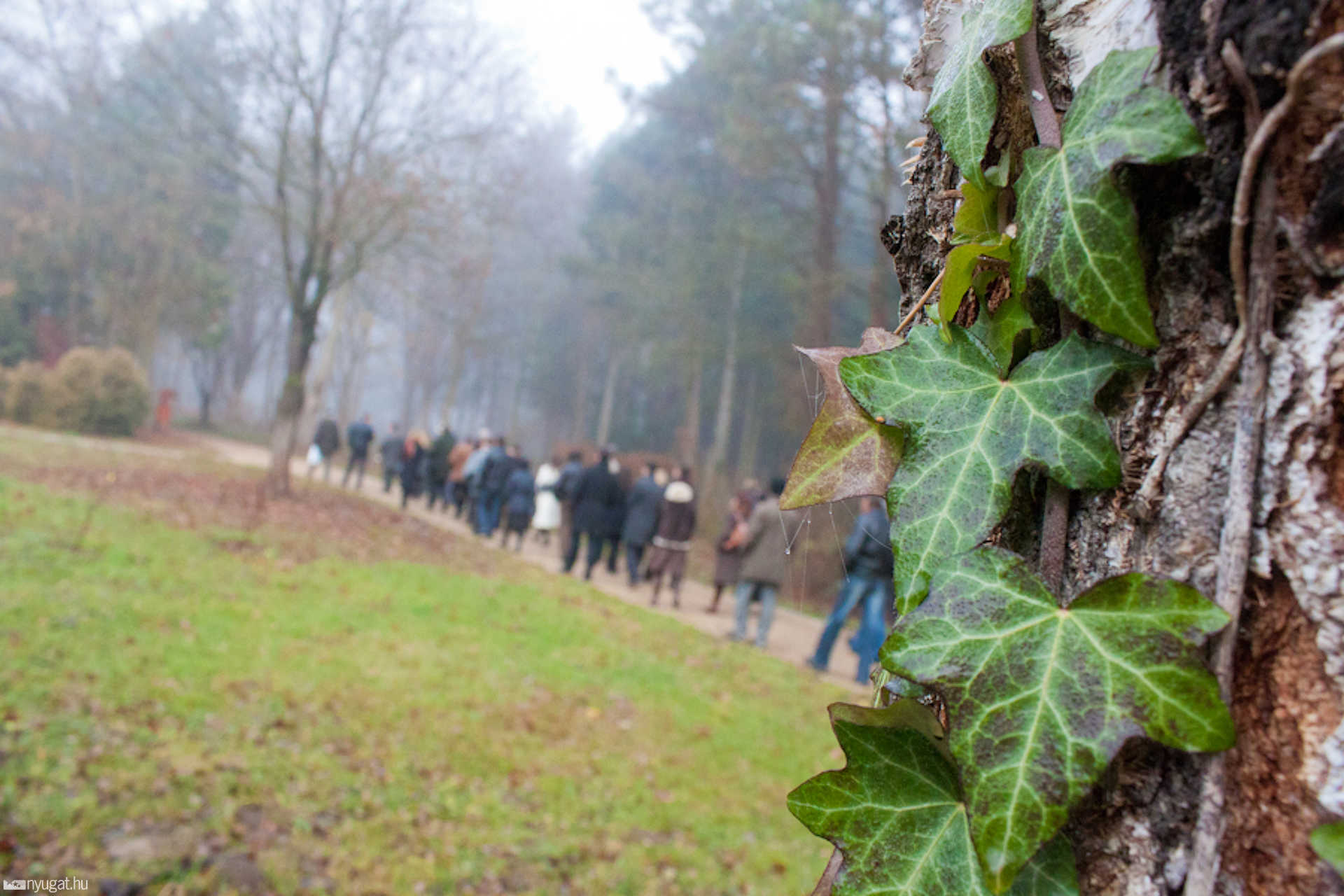 Arborétum bejárás és sajtótájékoztató