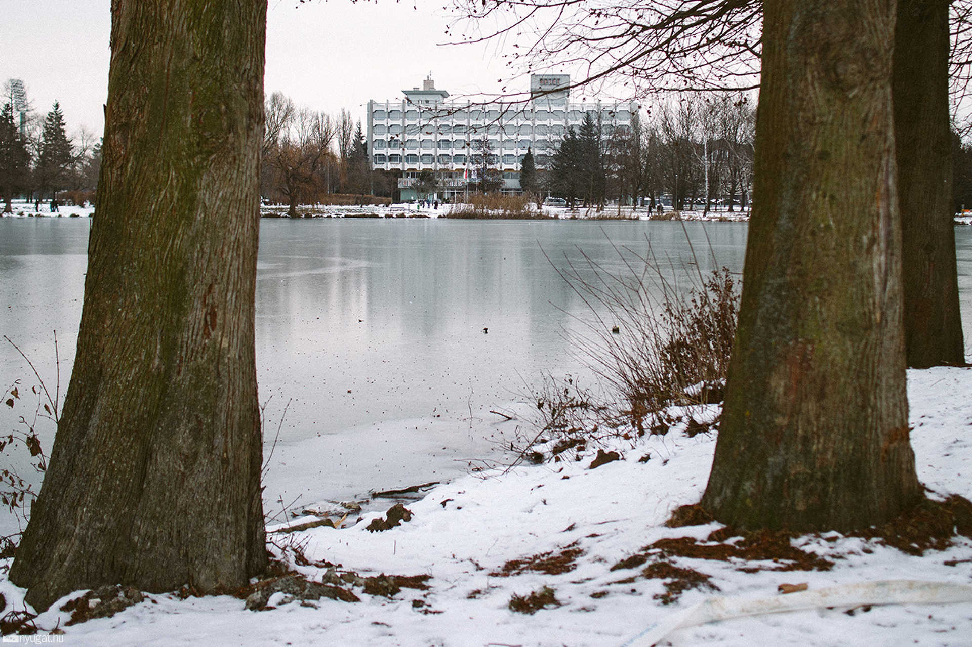 Csónakázótó január elsején