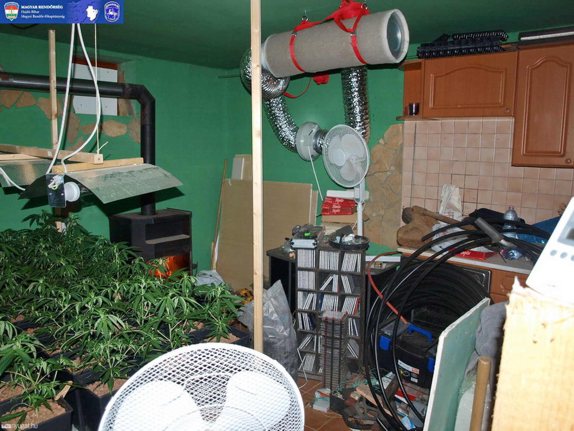 A Gyálon feltárt ültetvény