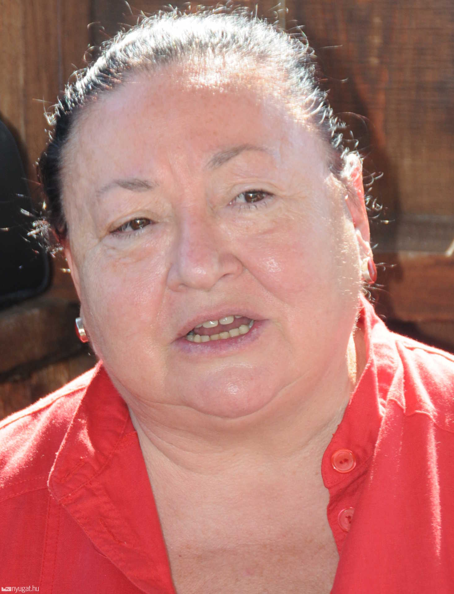 Savaria Karnevál 2008. - Előzetes sajtótájékoztató