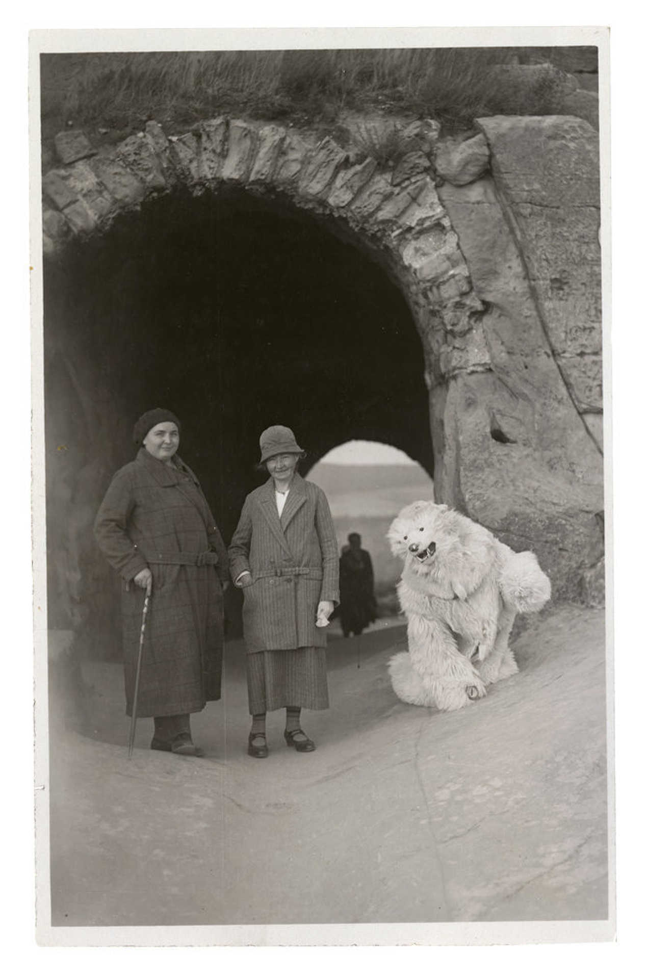 A TeddyBar kollekció