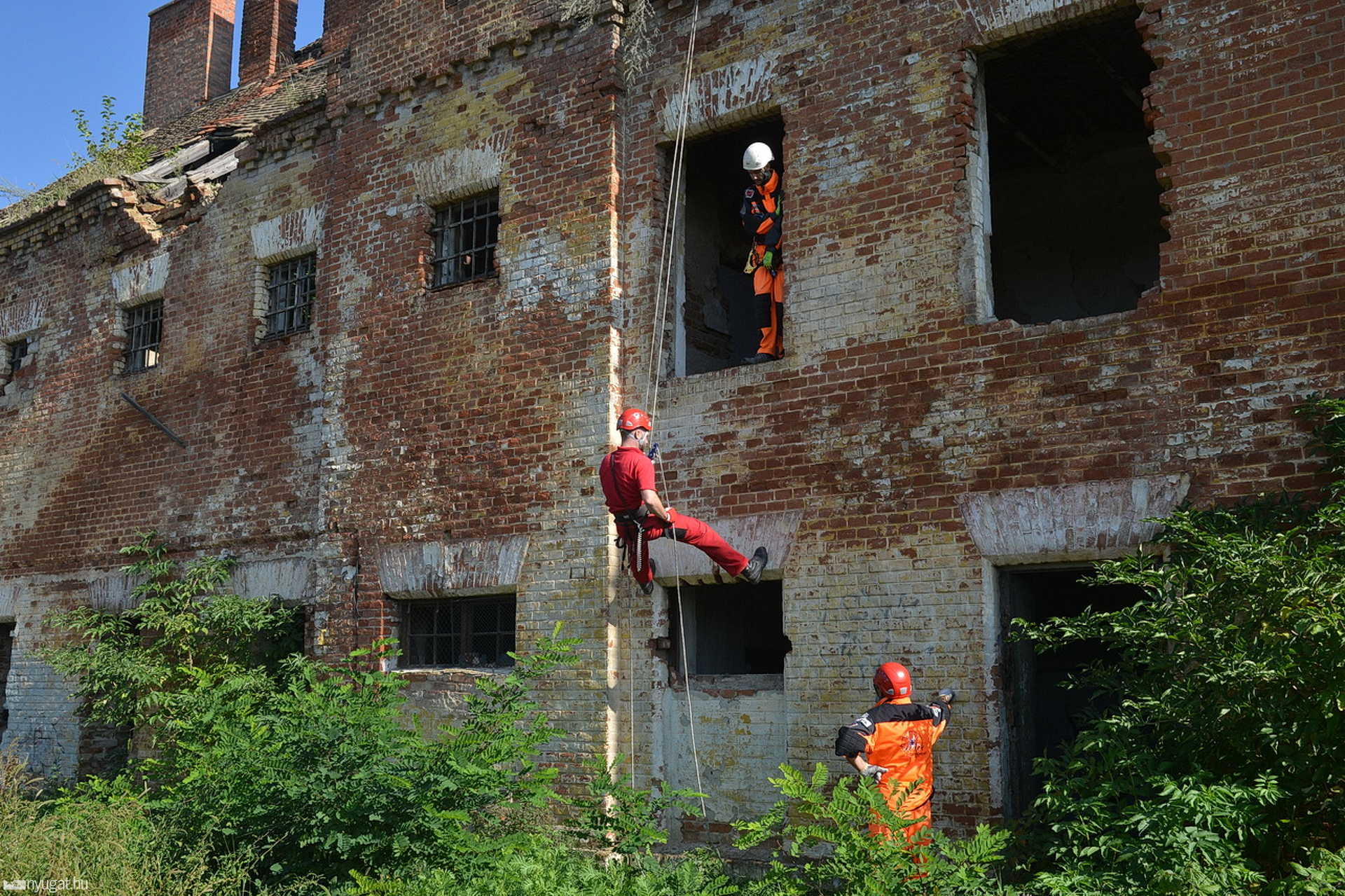 Keresőkutyás képzés Szombathelyen a Spider és a Borostyánkő Mentőcsoporttal
