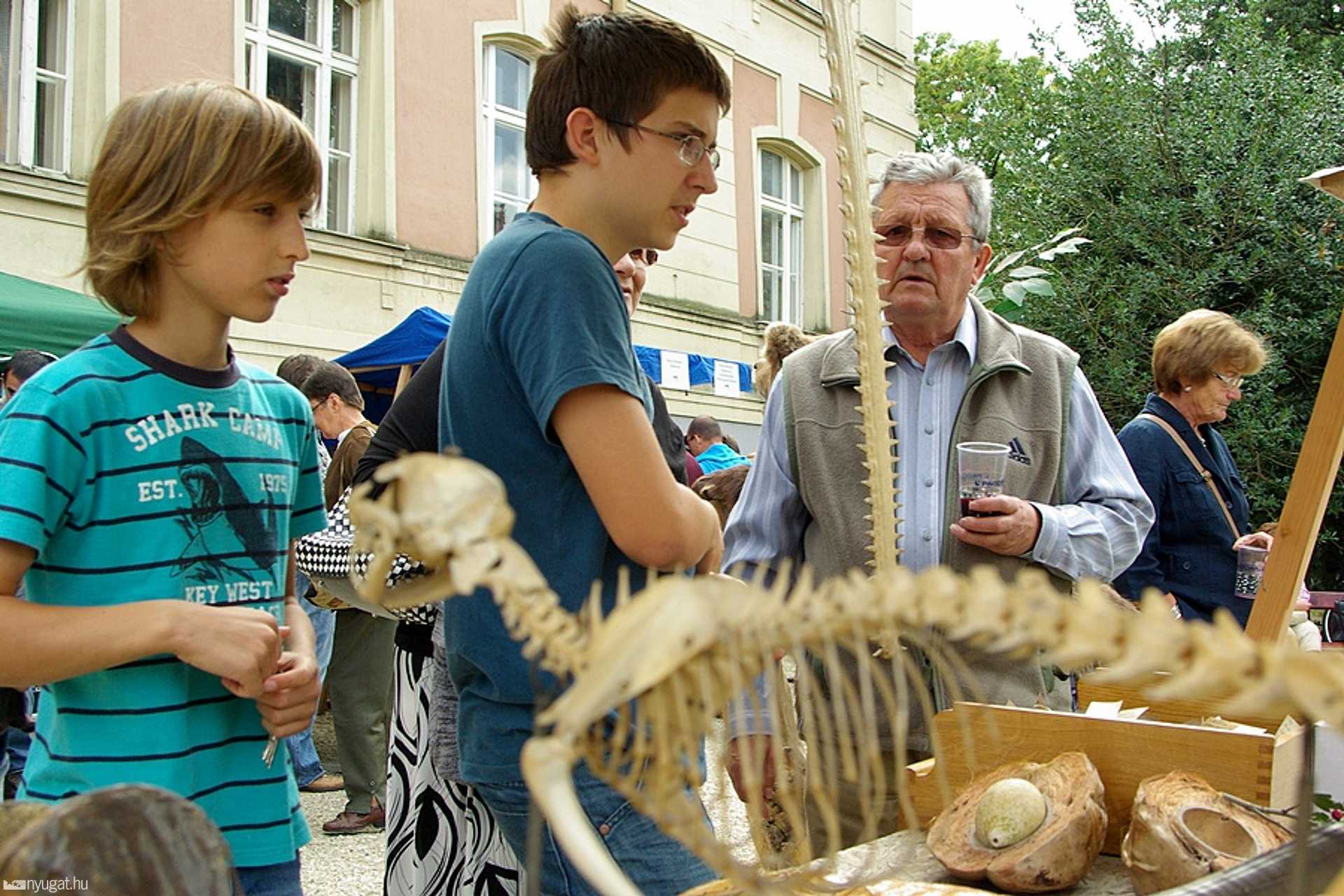 Múzsák kertje 2012