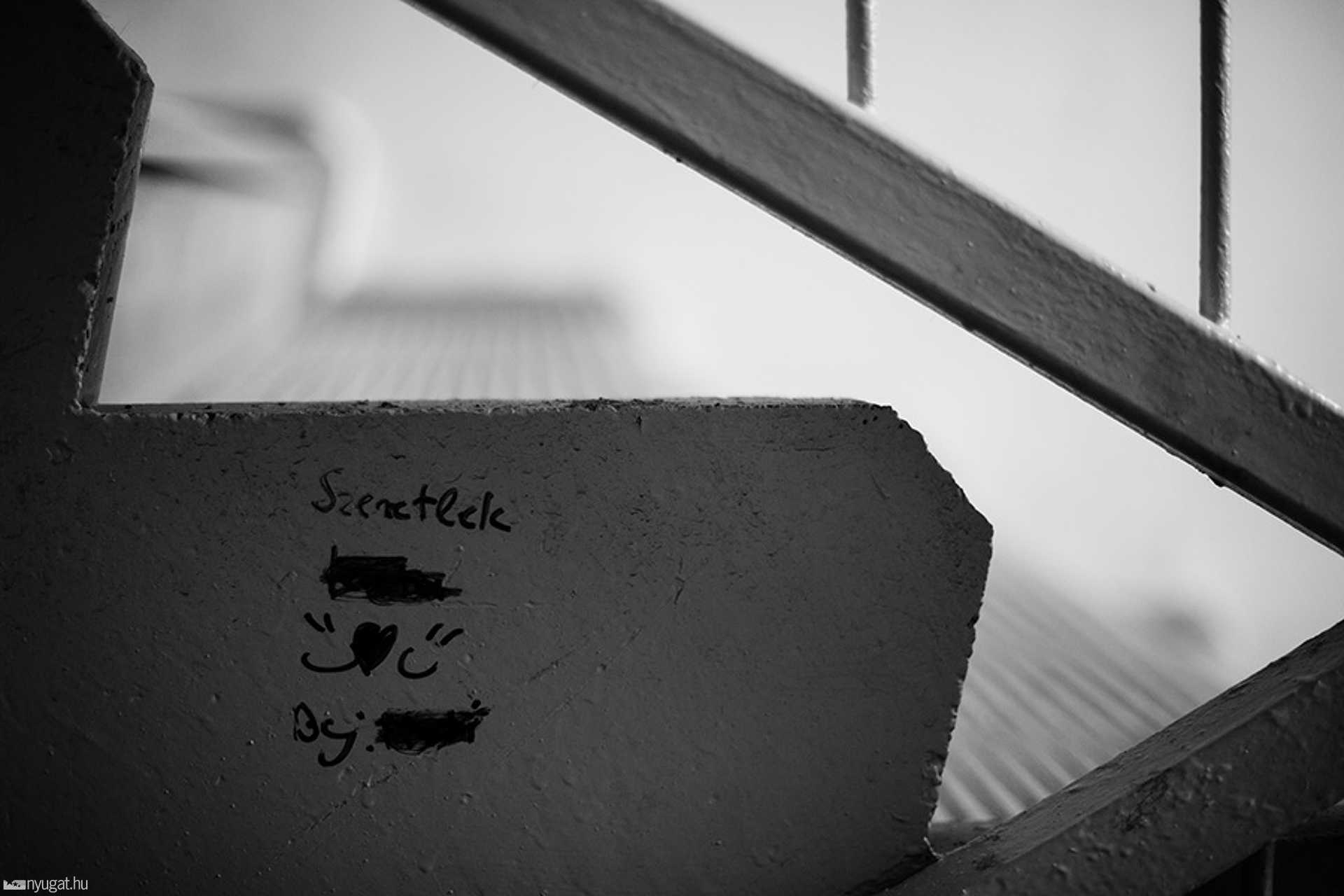 365 projekt: Bonyhádi Zoltán